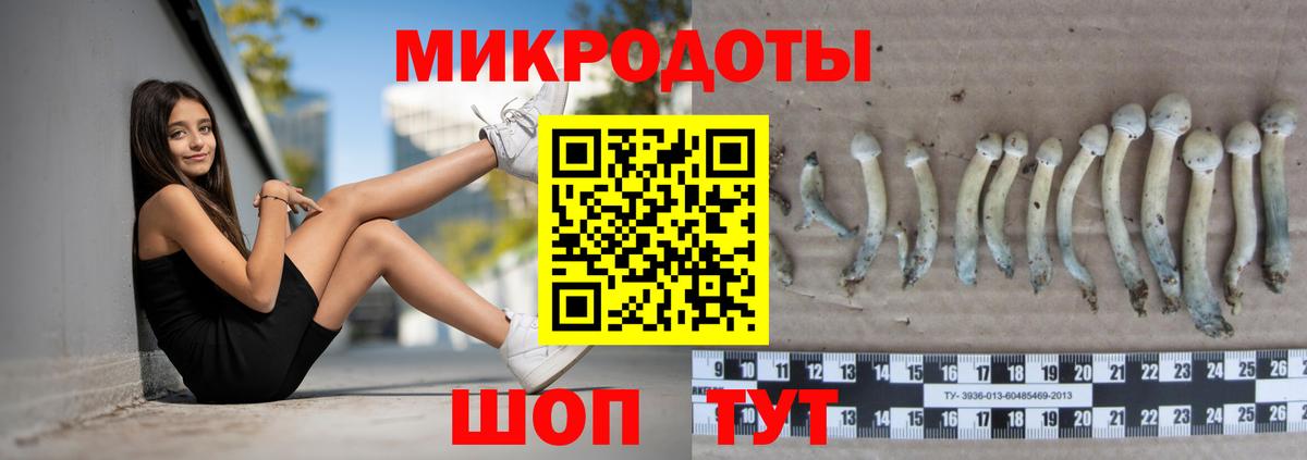 Псилоцибиновые грибы мицелий  Вход с VPN  Магадан 
